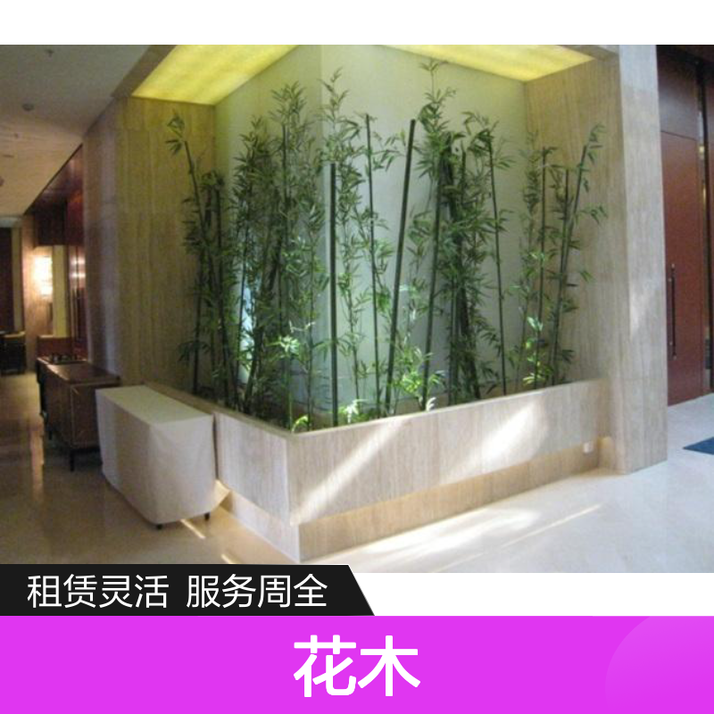南韵竹风绿植盆栽租赁服务 承接绿化工程 品种多样
