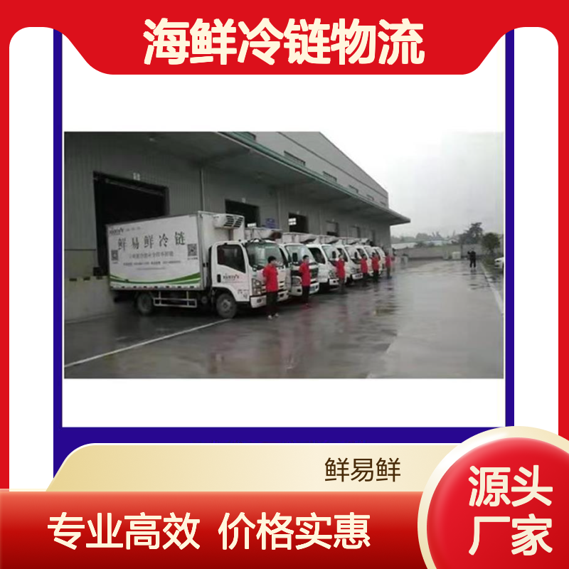佛山鲜易鲜低温冷冻托运 低温运输 海鲜冷链物流