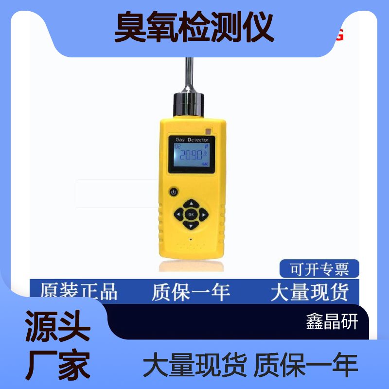 加拿大BW臭氧检测仪 垂直安装 化工行业专用BWGAXT-G