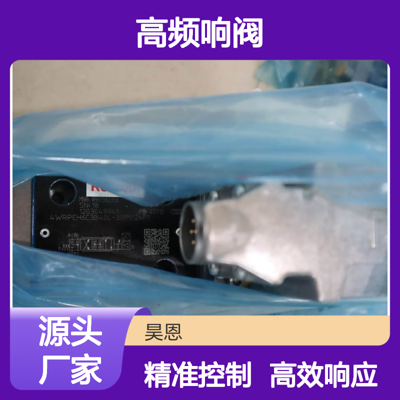 R901382350 4WRPEH6C3B40L-31/M/24F1 德国力士乐REXROTH高频响阀