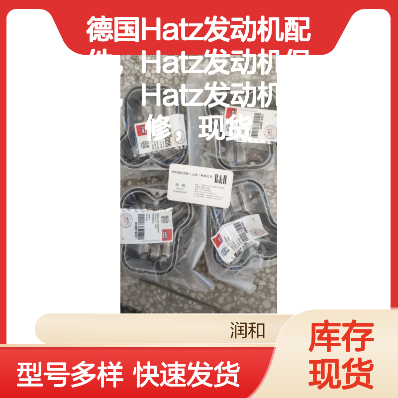 德国Hatz发动机配件 涵盖喷油嘴活塞缸套 保养维修一站式服务