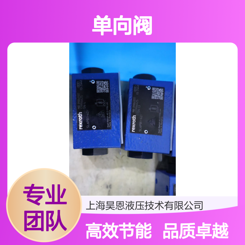 SL6PB1-60/ R900491117 SL6PB1-63/ SL6PB1-64/ 力士乐REXROTH单向阀