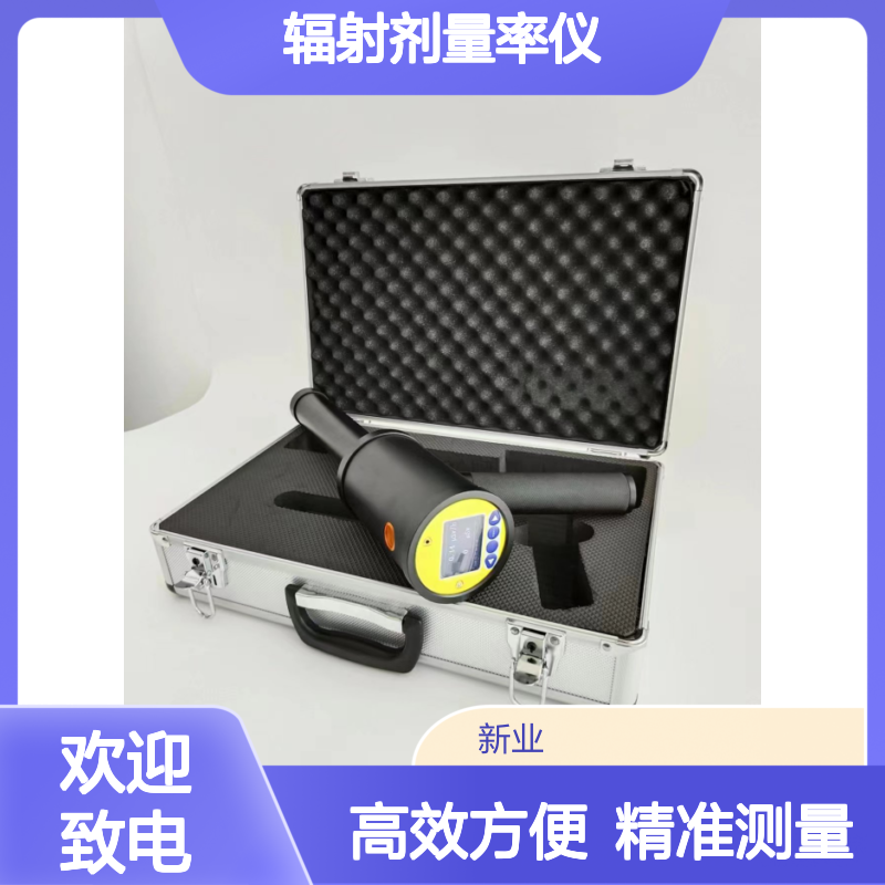 带定时测量记录功能 XY-D300х -γ辐射剂量率仪