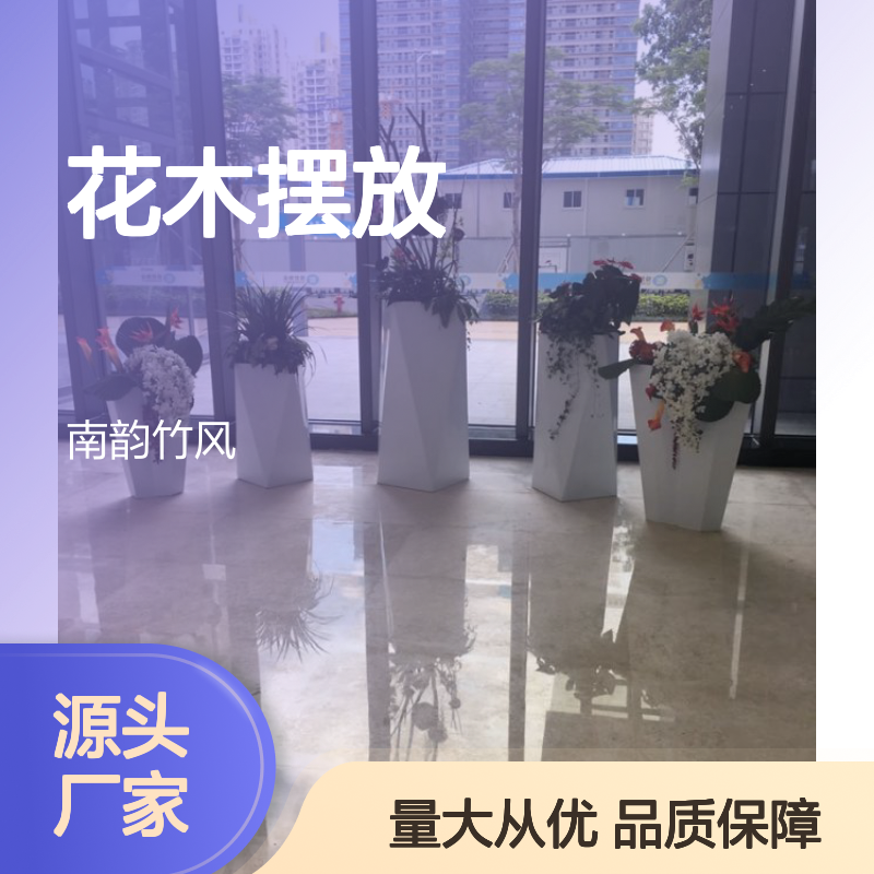 南韵竹风 花木摆放服务 承接绿化工程 品种多样