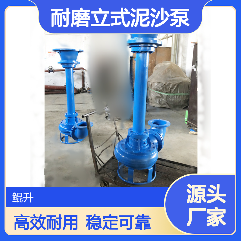 沉淀池用长轴液下抽沙泵 耐磨立式泥沙泵自动绞吸 浓度大