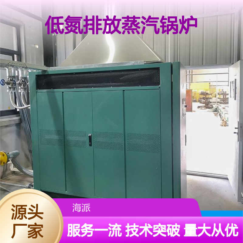 低氮排放蒸汽锅炉 高效节能工业必备 干净卫生