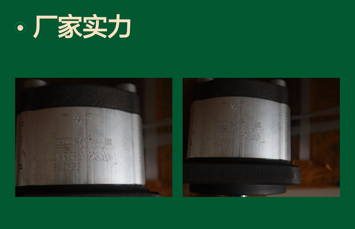 0510325006 AZPF-11-005RCB20MB 德国力士乐REXROTH齿轮泵