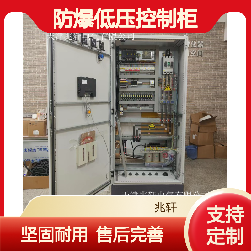 防爆低压控制柜 定制成套配电箱柜 坚固耐用 售后完善