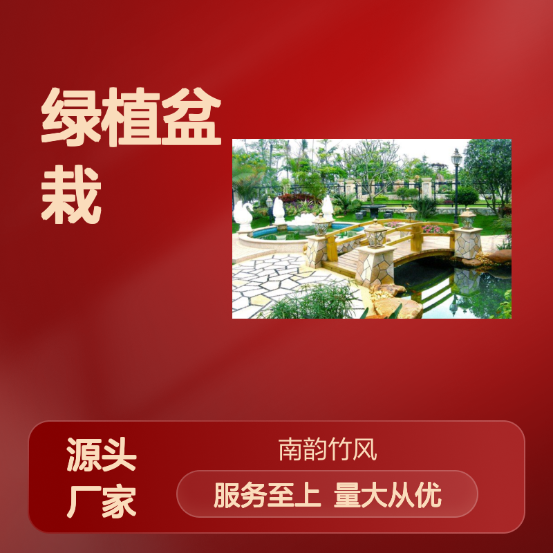 南韵竹风绿植盆栽 承接绿化工程项目 成活率高