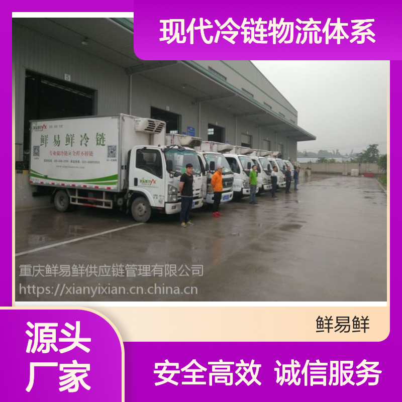 鲜易鲜冷链 广州到南宁，柳州冷冻物流 冷藏配送 现代冷链物流体系