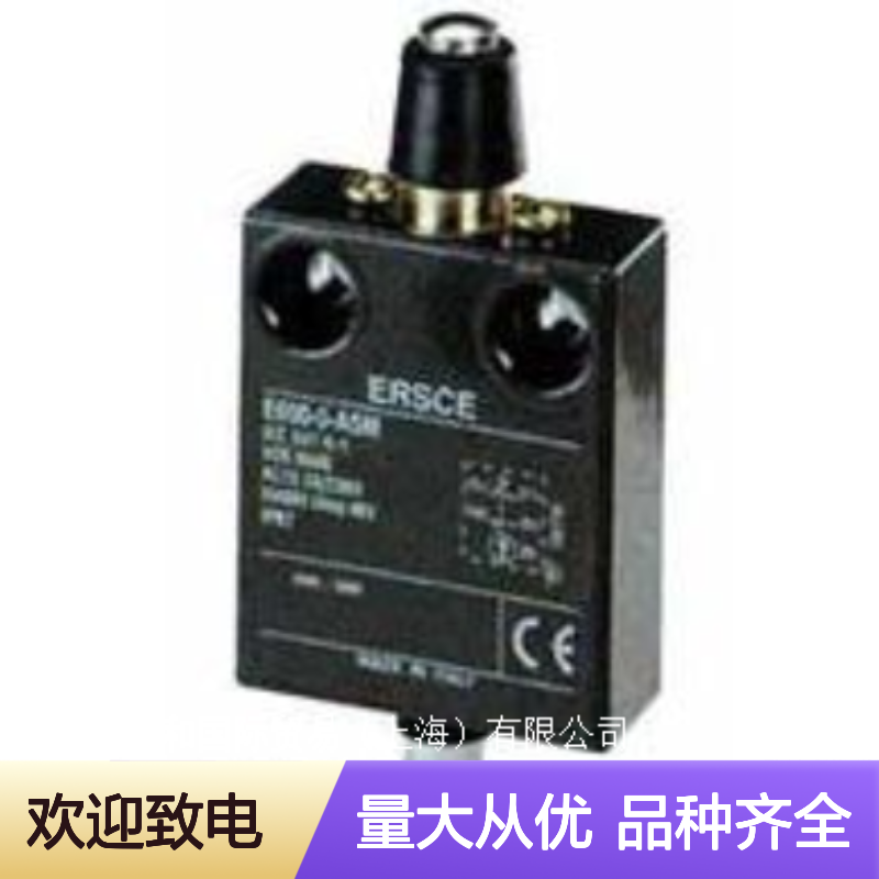 意大利ERSCE行程开关 E100系列 工业自动化限位控制