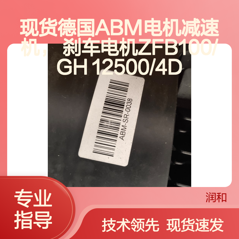 现货德国ABM电机减速机 ZFB100/GH 12500/4D 刹车电机 高效驱动