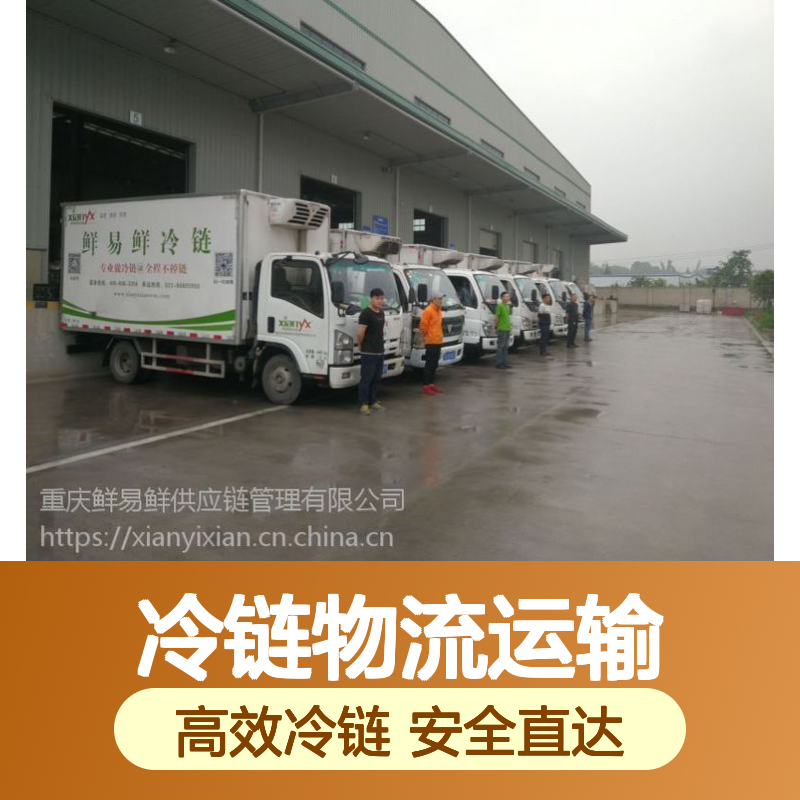 到广东物流冷链专线 冷链物流运输 车型齐全 一站式服务