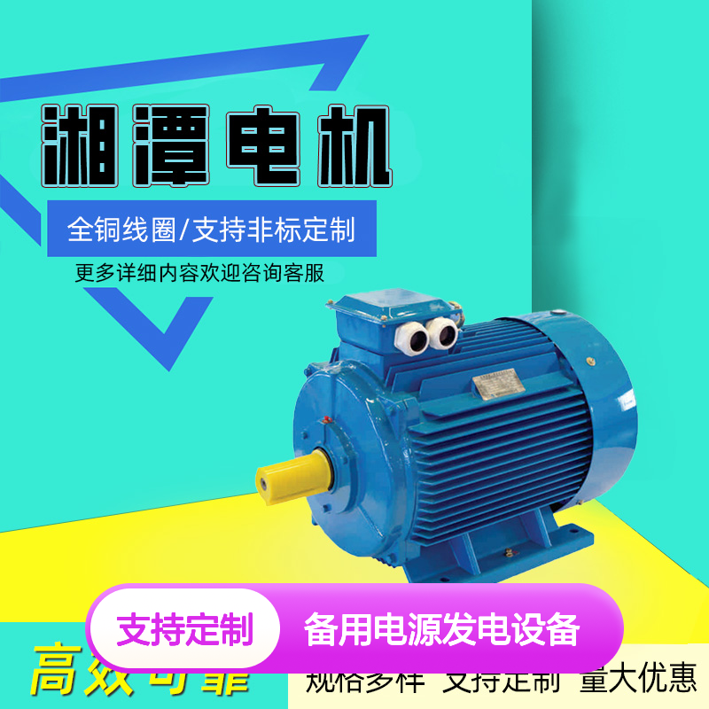 湘1潭2电机TF同步发电机独立电源备用电源发电设备
