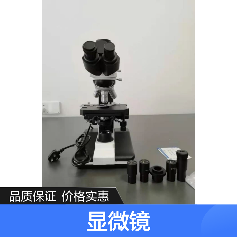 相差显微镜BPH-200 高清目镜测微尺 精准检测