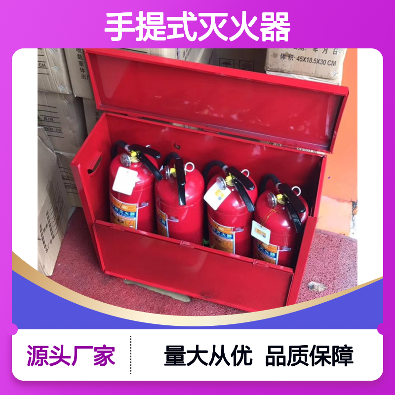 手提式灭火器 消防报验高效灭火安全设备 应用广泛