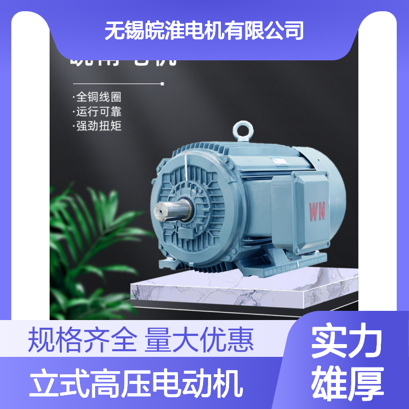 皖南电机马达YL立式高压电动机三相交流异步185kw200kw375kw400kw