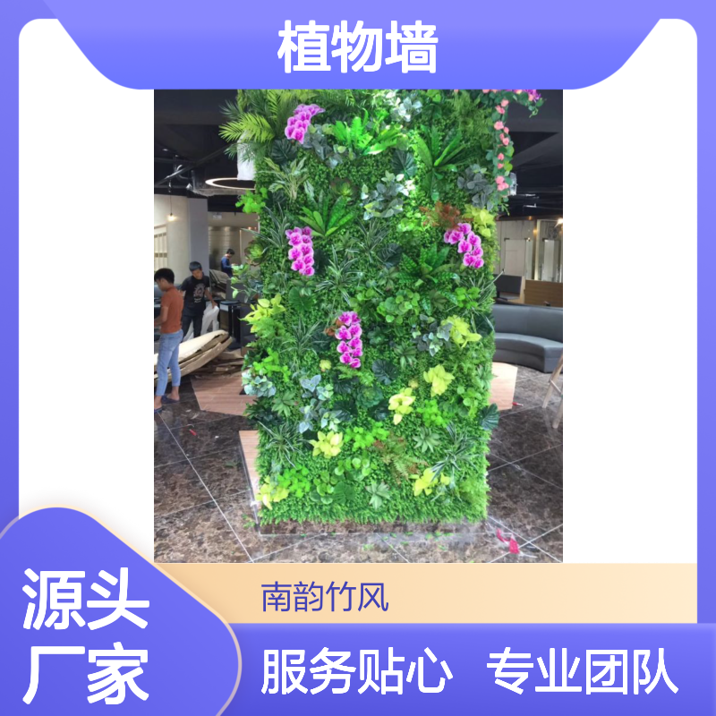 植物墙种植 养护 维修一体化 南韵竹风 团队合作 服务贴心