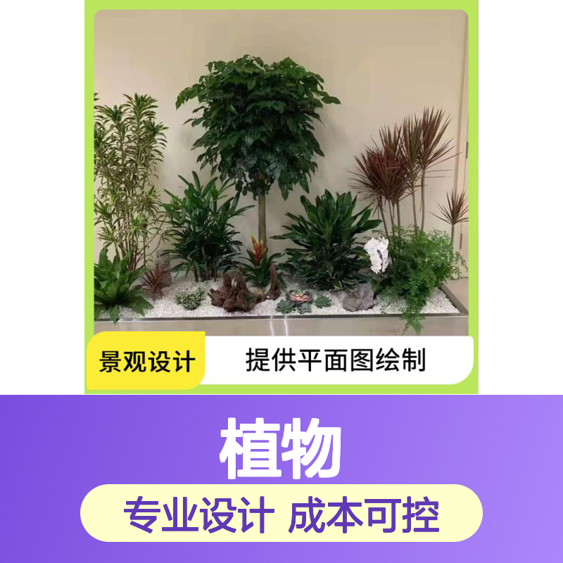 南韵竹风 室内绿植造景 场地花卉景观布置 绘制植物配置图