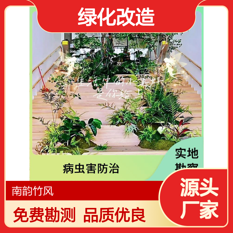 南韵竹风 绿化改造 生态景观 种植施工 浇水施肥修剪