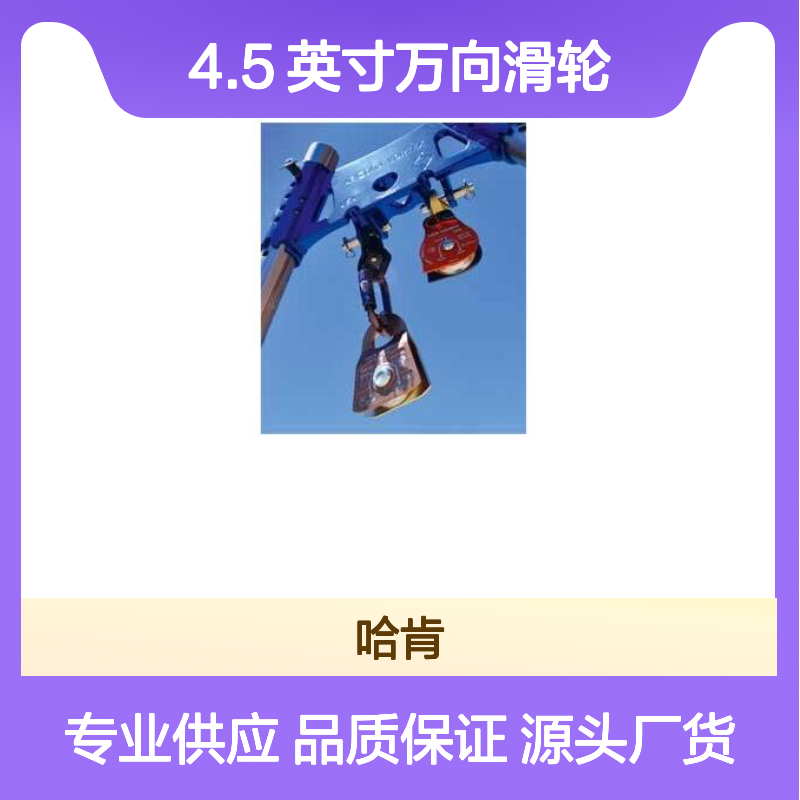 哈肯国际贸易供应 Omni Rigging-Block 4.5 英寸万向滑轮