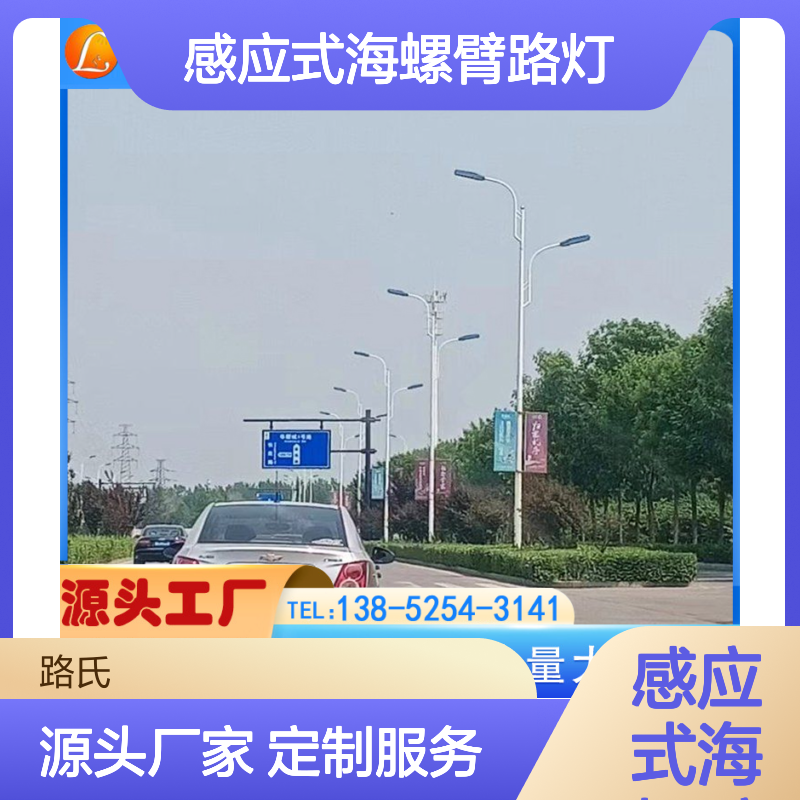 感应式海螺臂路灯 LED市电双头双臂路灯杆 可定制