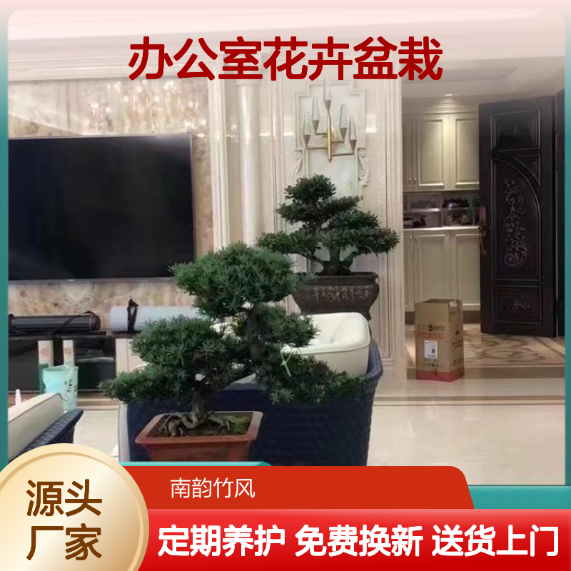 绿植养护 办公室花卉盆栽租摆 花箱植物造景 南韵竹风