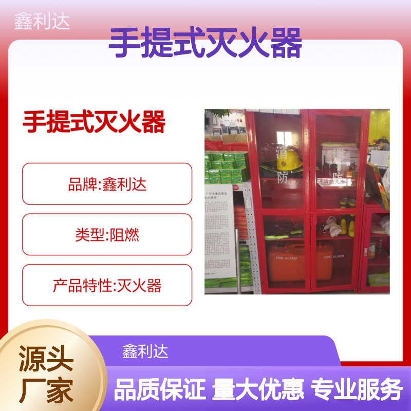 鑫利达手提式灭火器 年检维保 消防必备 源头直供