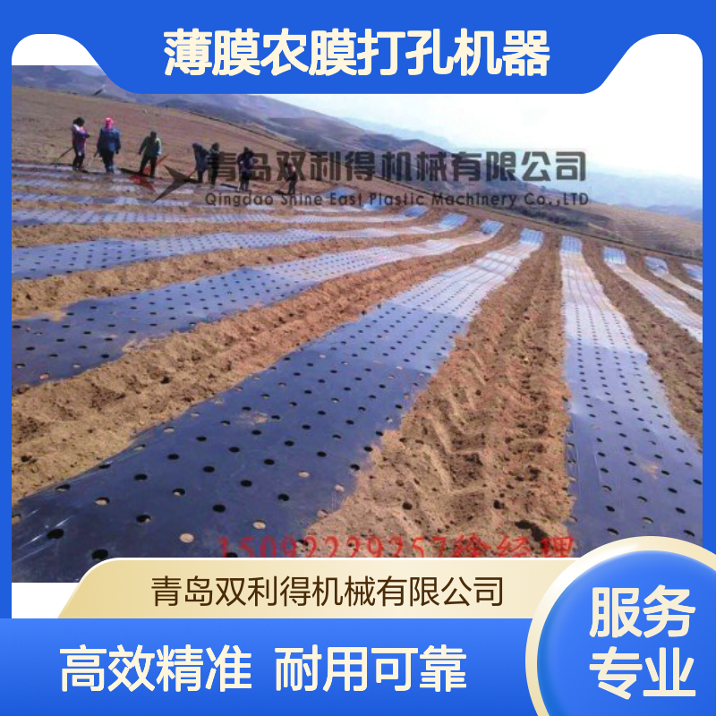 双利得塑料地膜打孔机生产线 薄膜农膜打孔机器