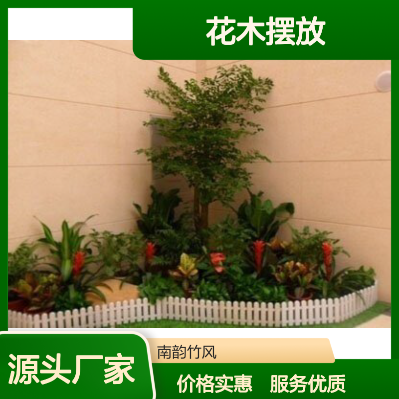 南韵竹风 花木摆放 绿植盆栽租摆服务 品质如一 服务好