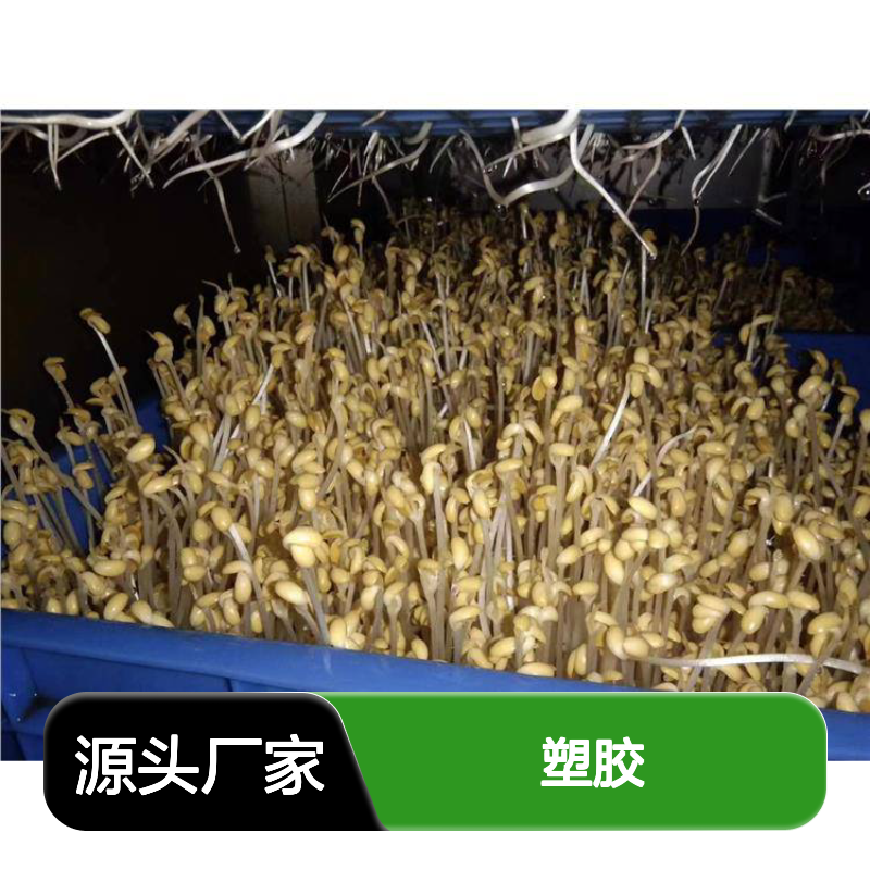 乔丰塑胶厂 塑料大白桶 周转箱 环保耐用 承载力强