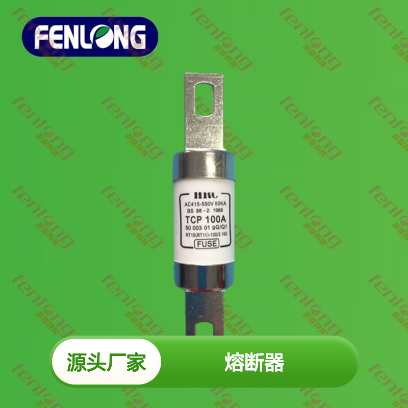 CR2L GSB-250V/100A熔断器 芬隆品牌 螺栓连接式低压熔断器