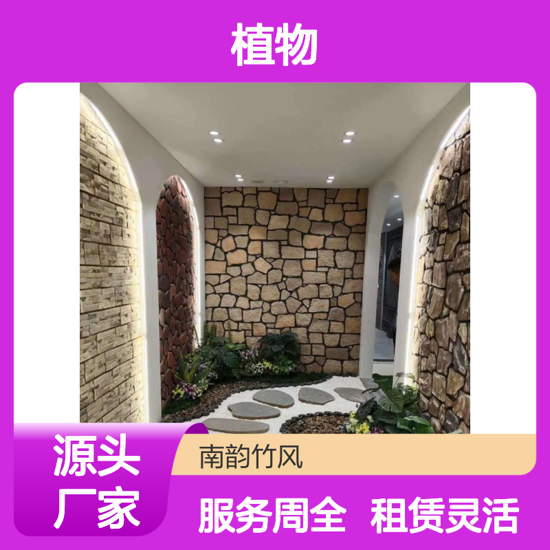 南韵竹风植物租赁服务,长期短期均可 品种多样
