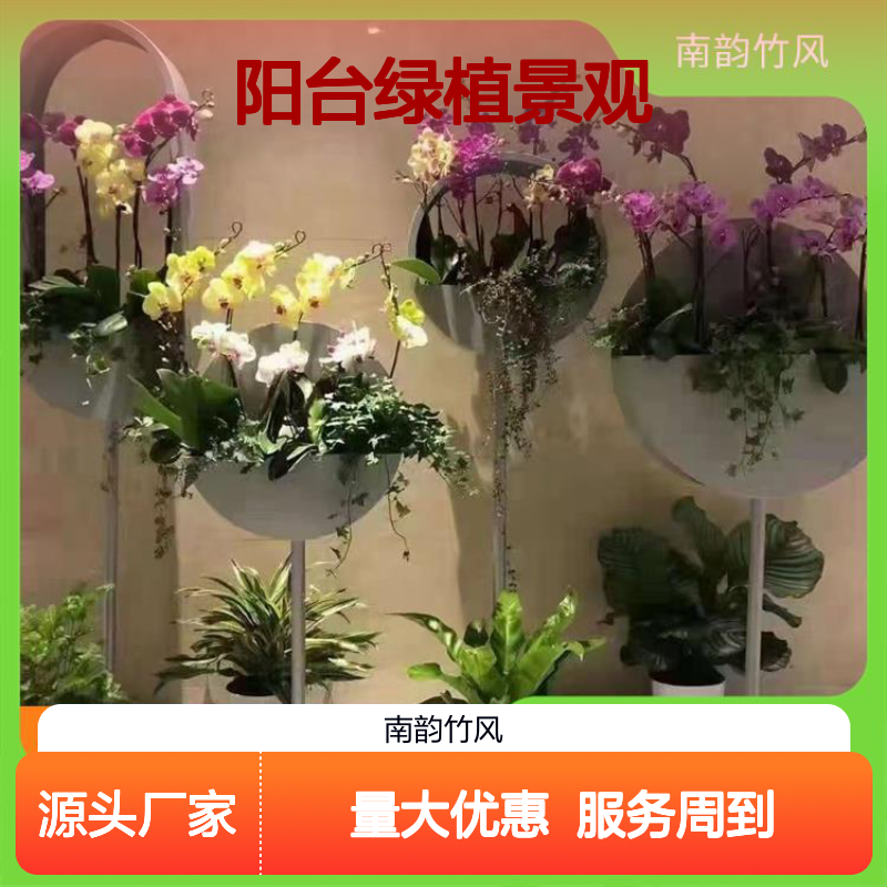 阳台绿植景观 庭院造景服务 专业施工 设计一体
