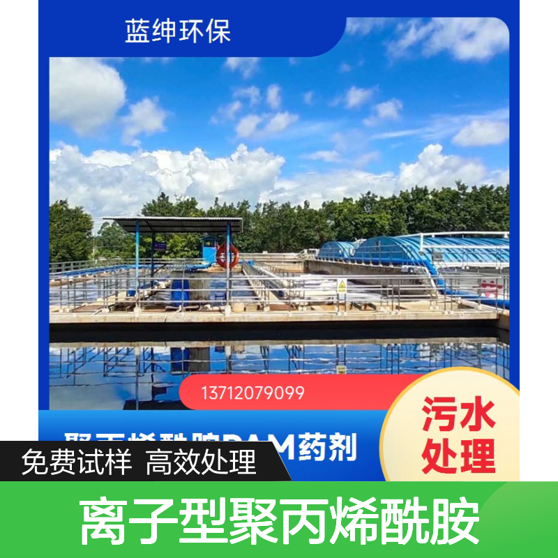 蓝绅环保 离子型聚丙烯酰胺 净水材料 高效除臭