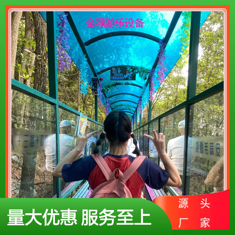 景区输送带观光魔毯 多功能代步工具 安全挡板设计