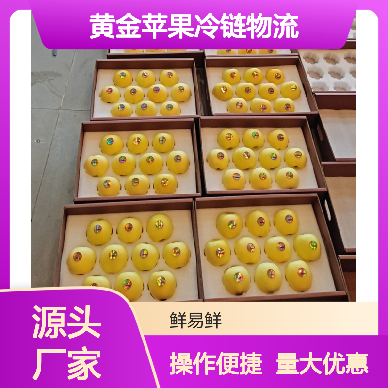 维纳斯黄金苹果冷链物流 高效冷藏运输 保障新鲜美味