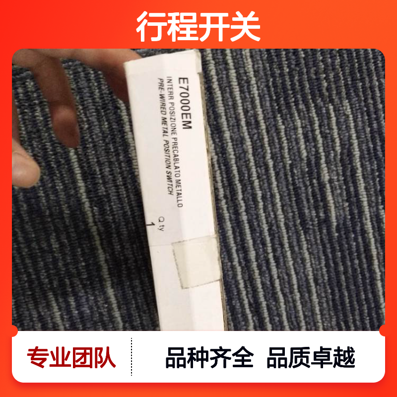 意大利ERSCE行程开关 限位开关 微动开关 工业应用完整系列