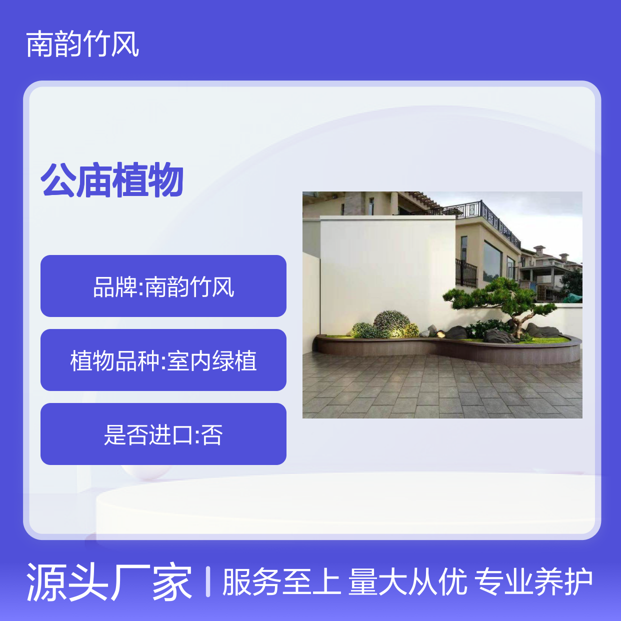 福田车公庙植物租摆服务 定期专业养护 品种齐全