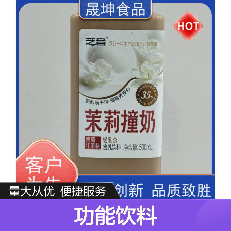 晟坤食品 功能饮料代加工 乳品果汁植物饮料代工 源头厂家支持定制