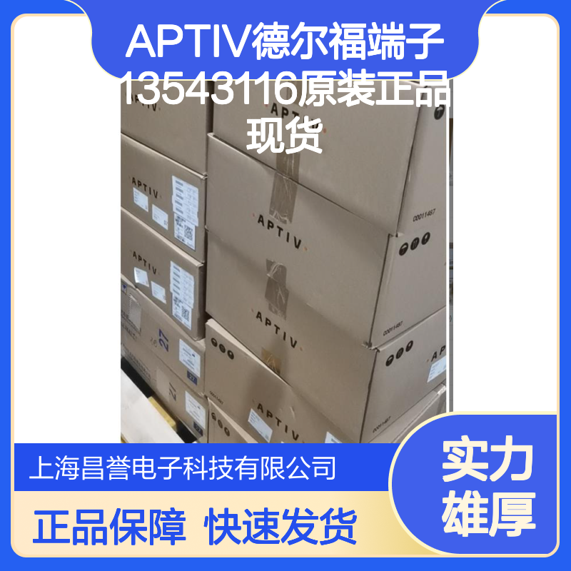 APTIV德尔福端子13543116 原装正品现货 电子连接器必备配件