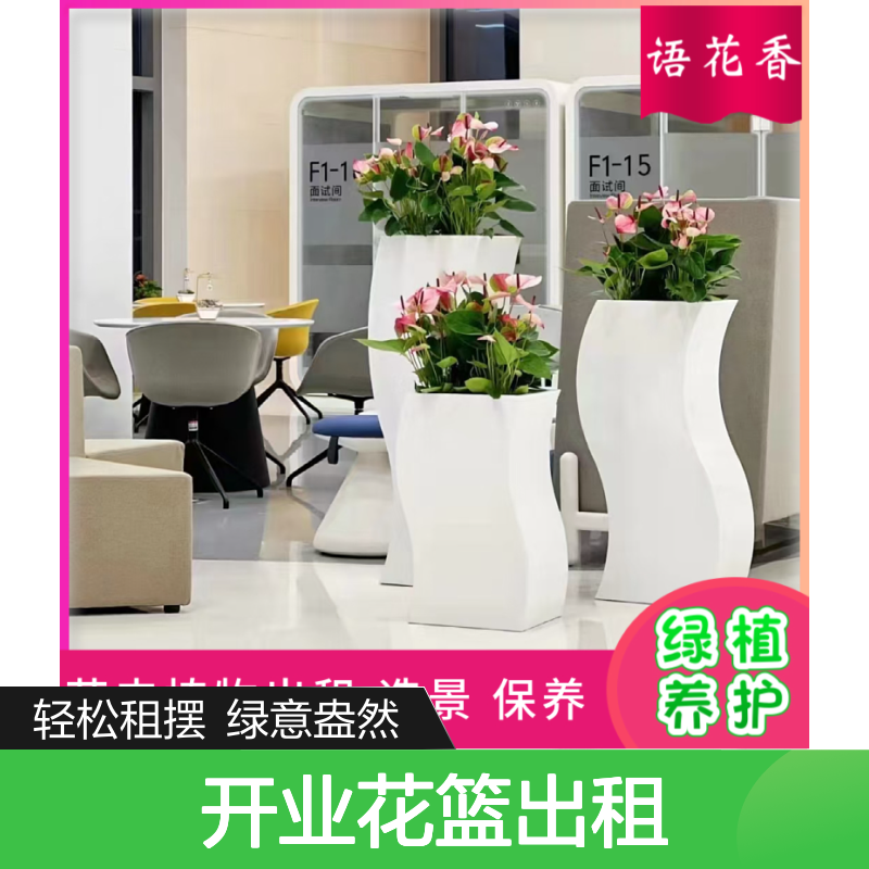 开业庆典必备 迷你小盆栽租摆 短期长期灵活租赁服务