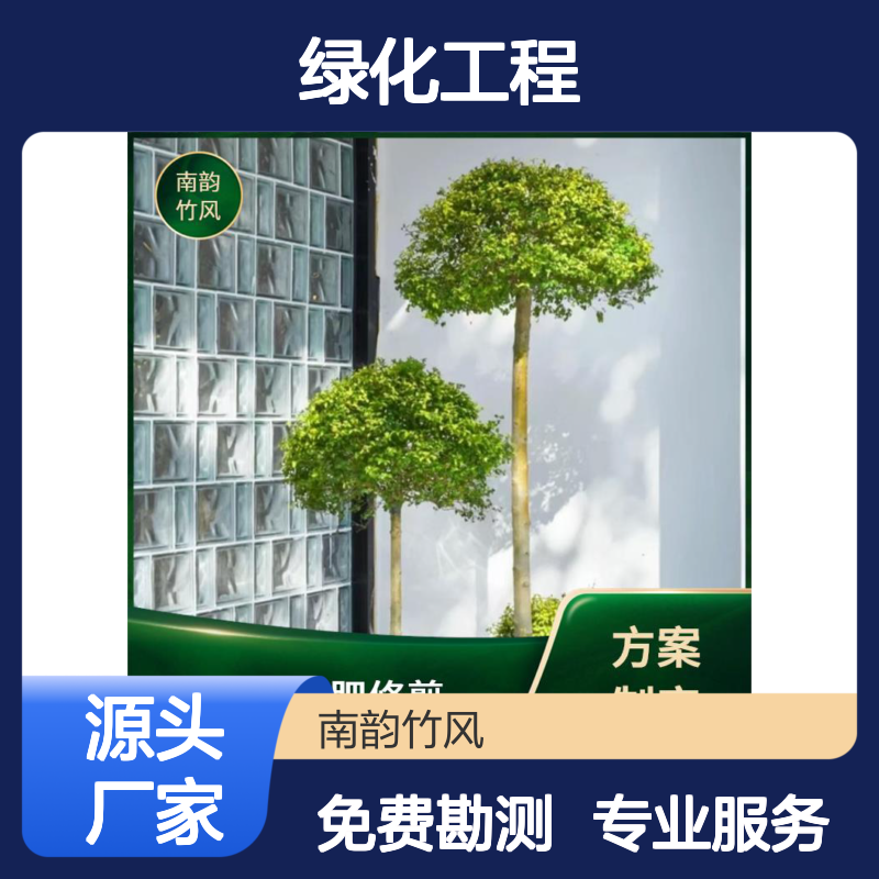 南韵竹风 绿化工程 阳台景观 地形塑造 免费上门实地勘测