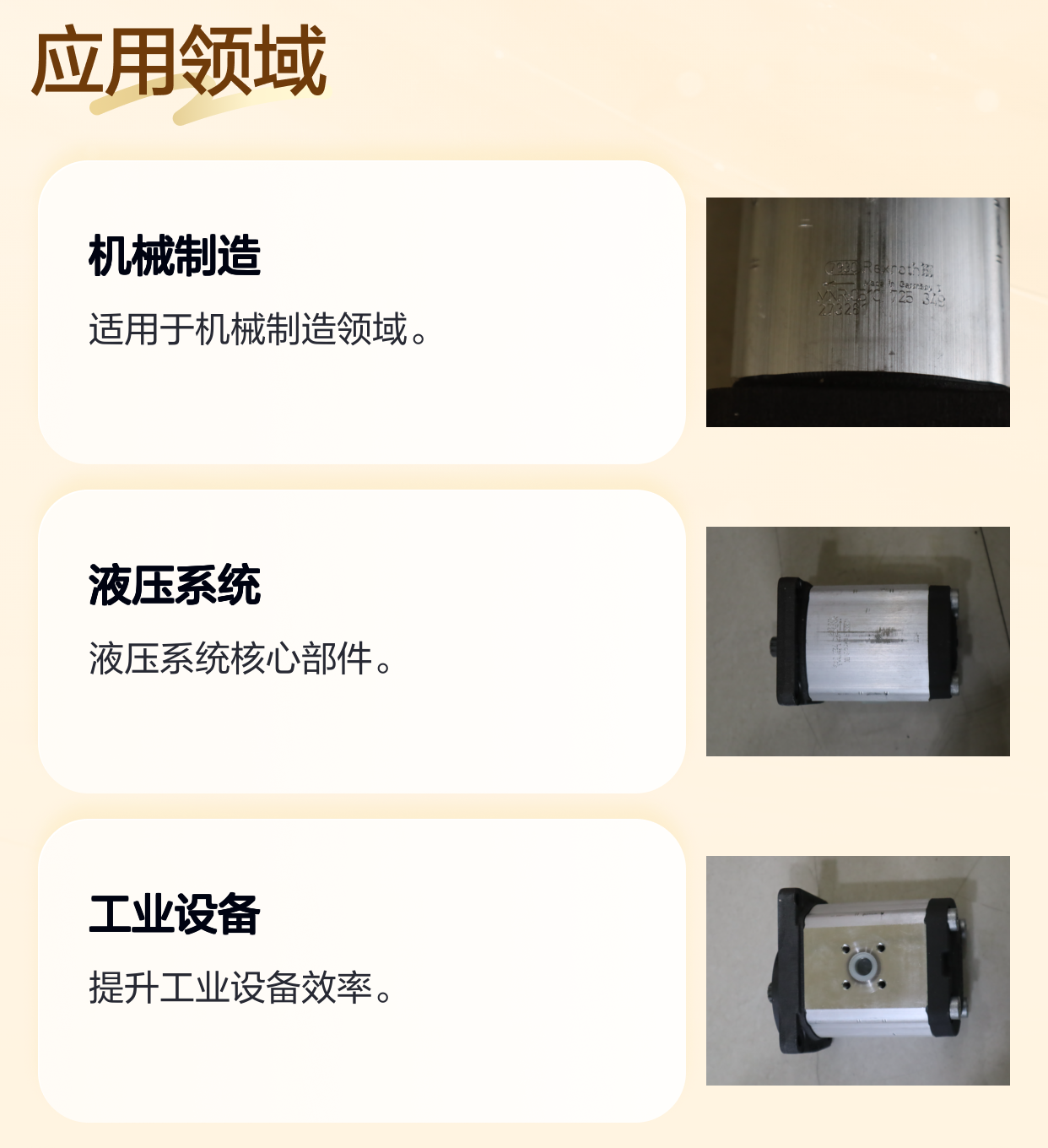 0510725349 AZPF-21-022LFB20MB 德国力士乐REXROTH齿轮泵