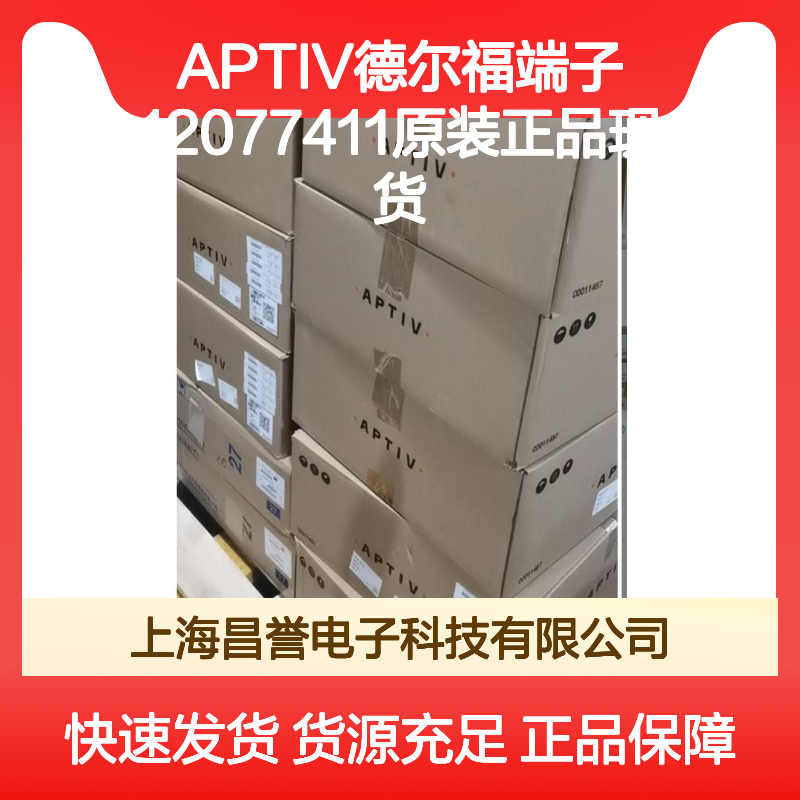 APTIV德尔福端子12077411 原装正品现货 国内代理货源可追溯