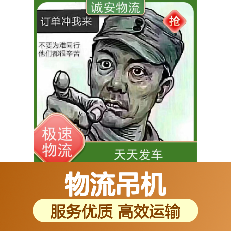 诚安物流吊机车 中港运输天天发车 专线服务 品质卓越