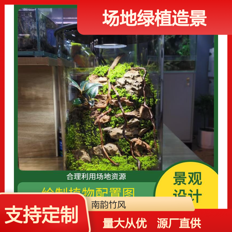南韵竹风 水草生态缸 室内景观设计 场地绿植造景 合理控制成本