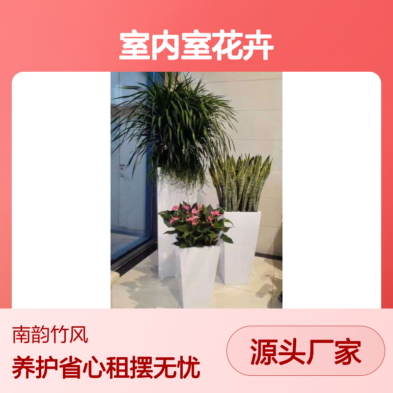 室内室花卉租摆 场景植物造景 展会临时性鲜花绿植租赁养护无忧