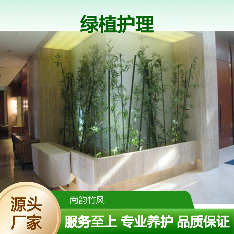 南韵竹风绿植租摆护理 服务全面 品种多样 成活率高