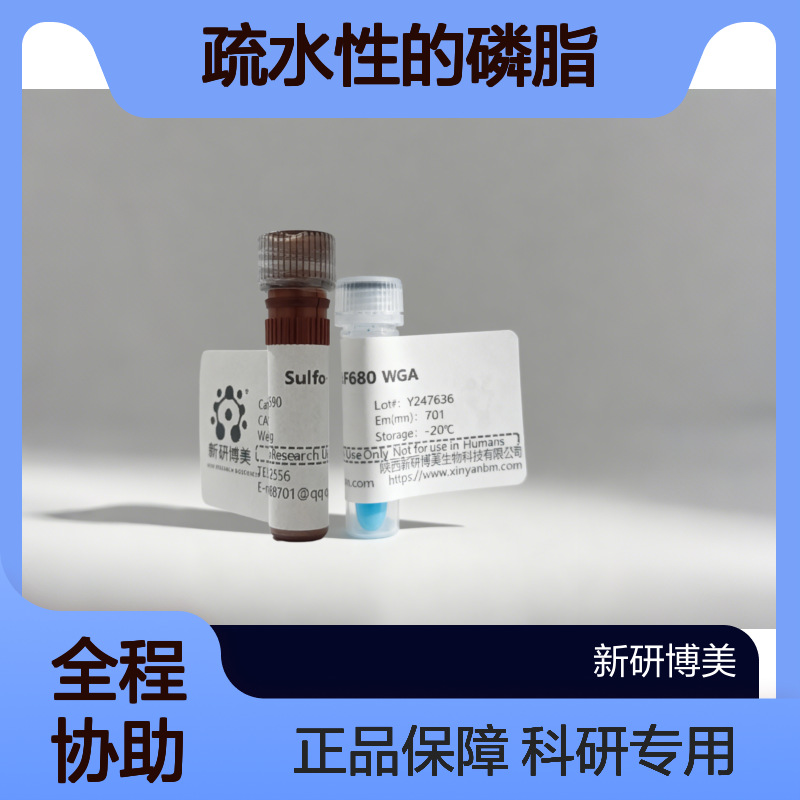 DSPE-PEG1-Azide兼具亲水性和疏水性的磷脂-PEG共轭物